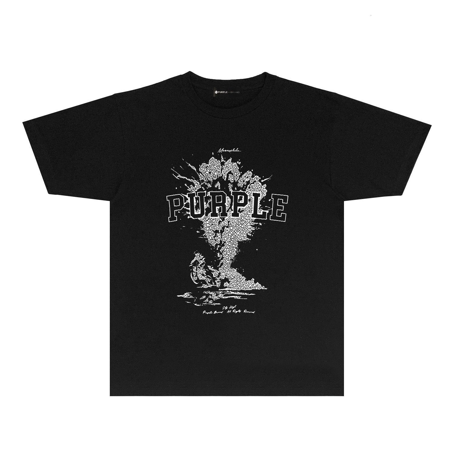 Purple Brand T-shirt