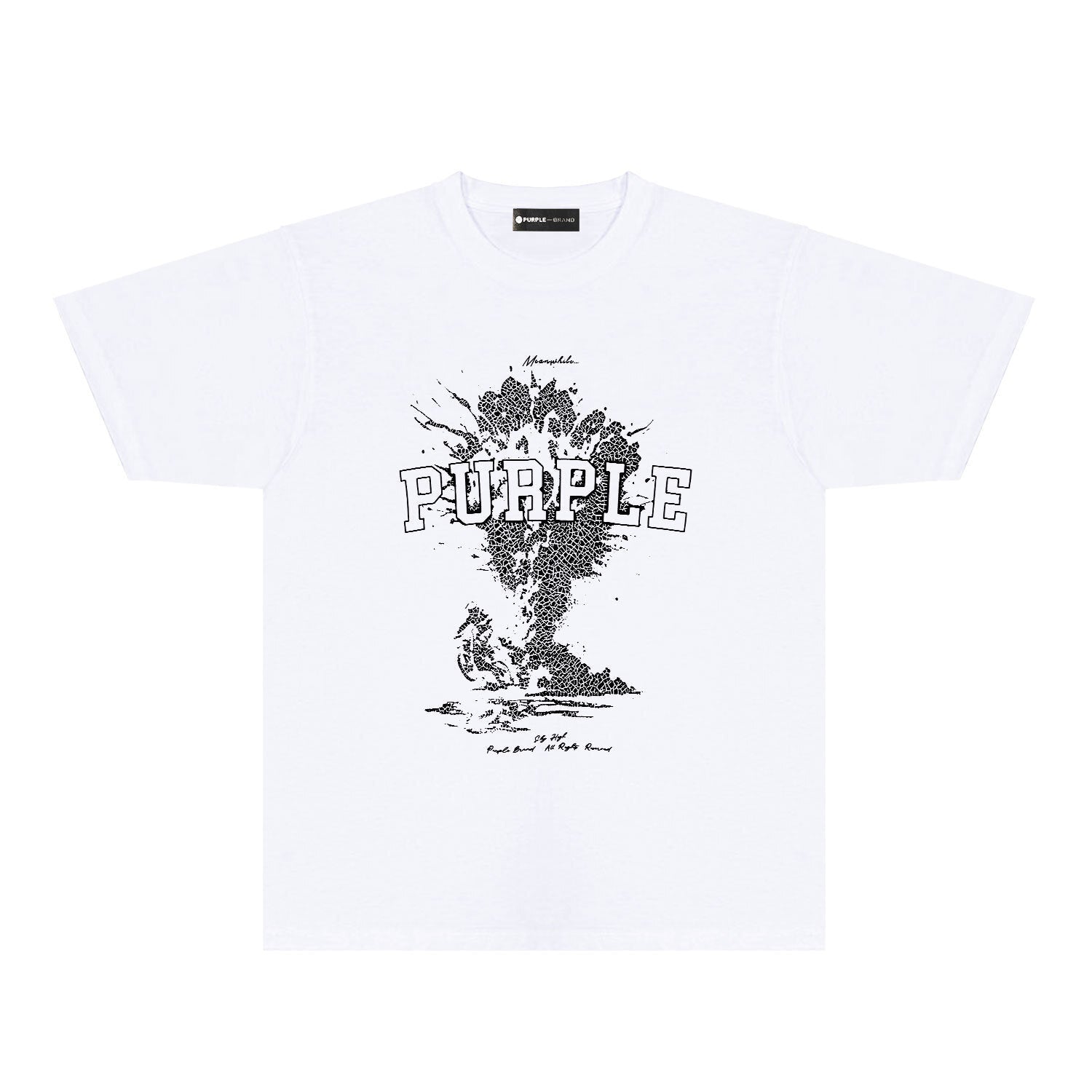 Purple Brand T-shirt