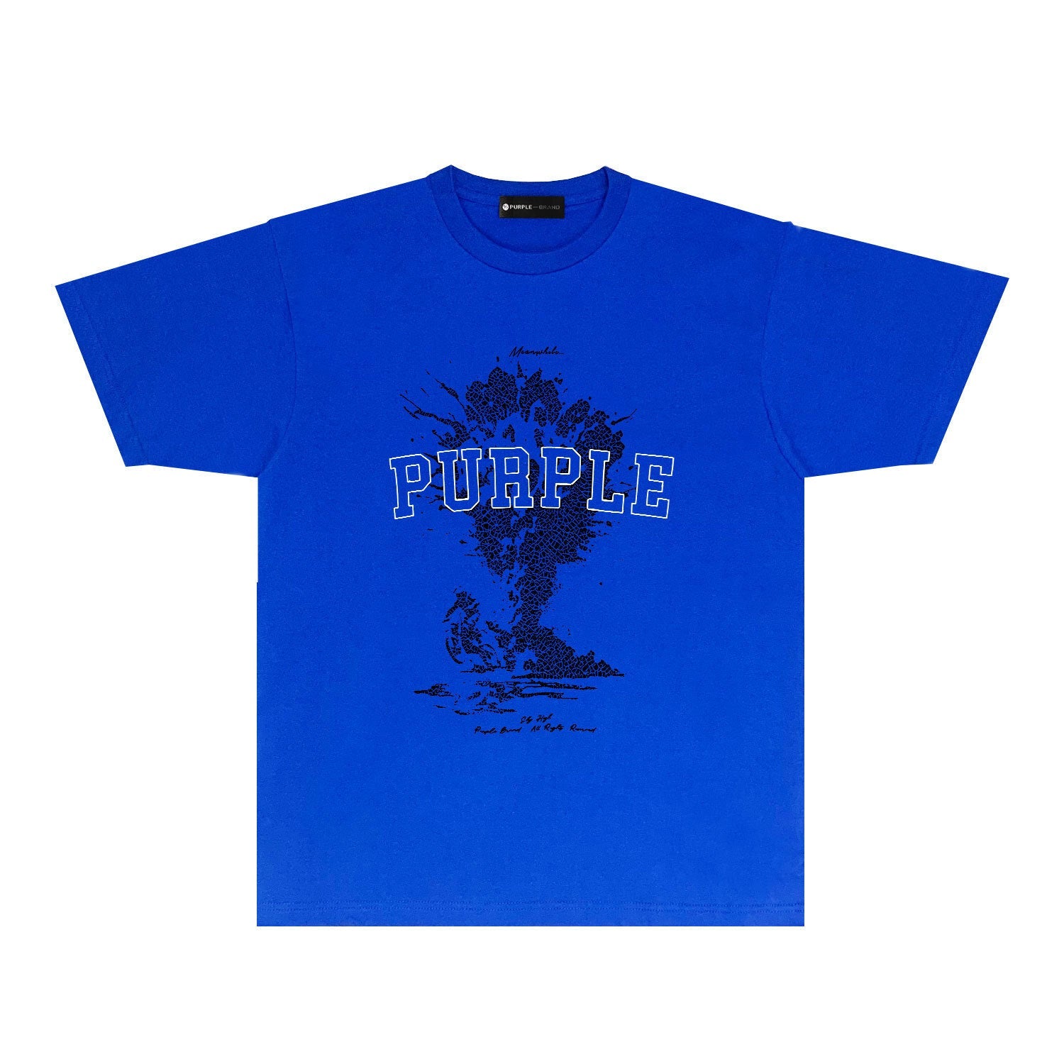Purple Brand T-shirt